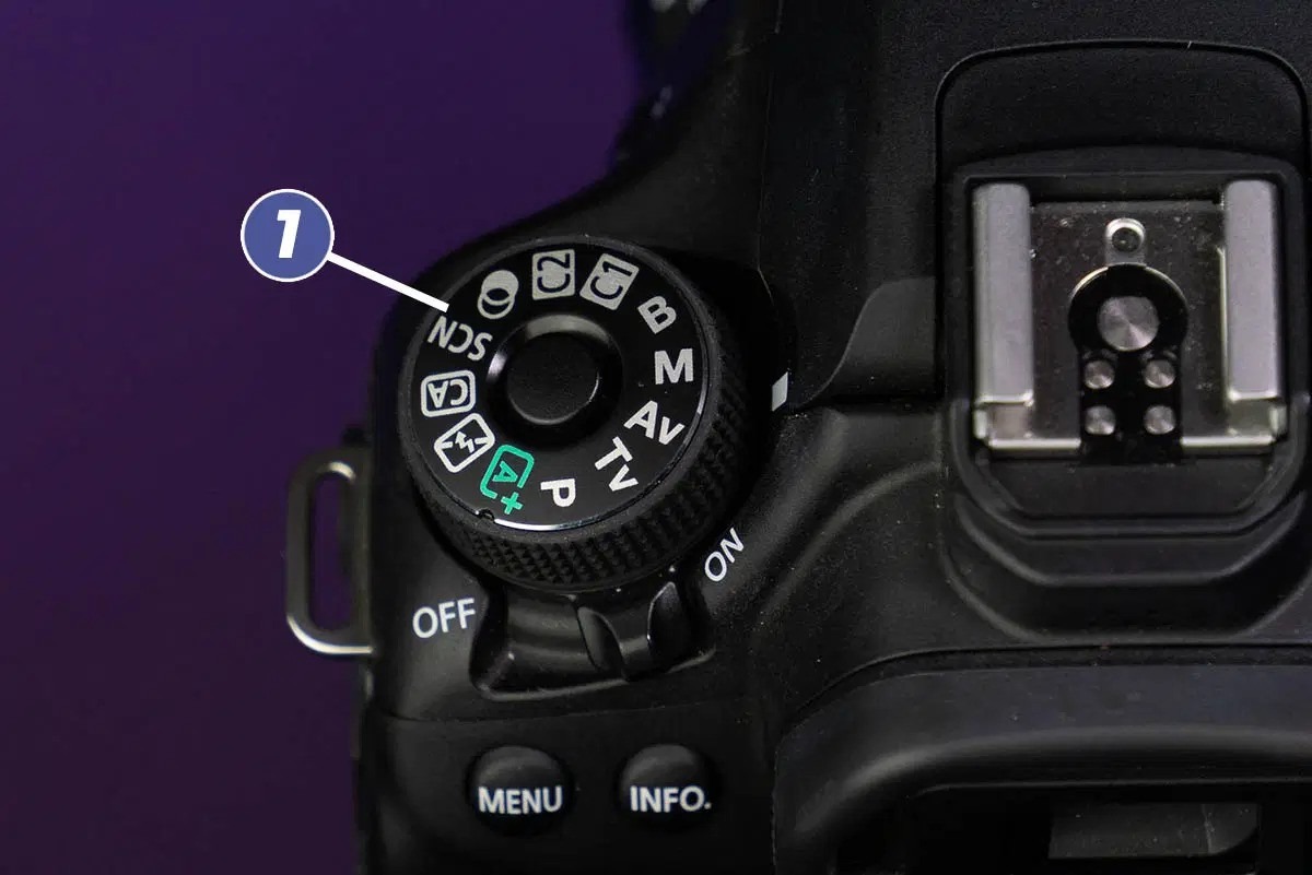 Dslr camera guide understanding the basics