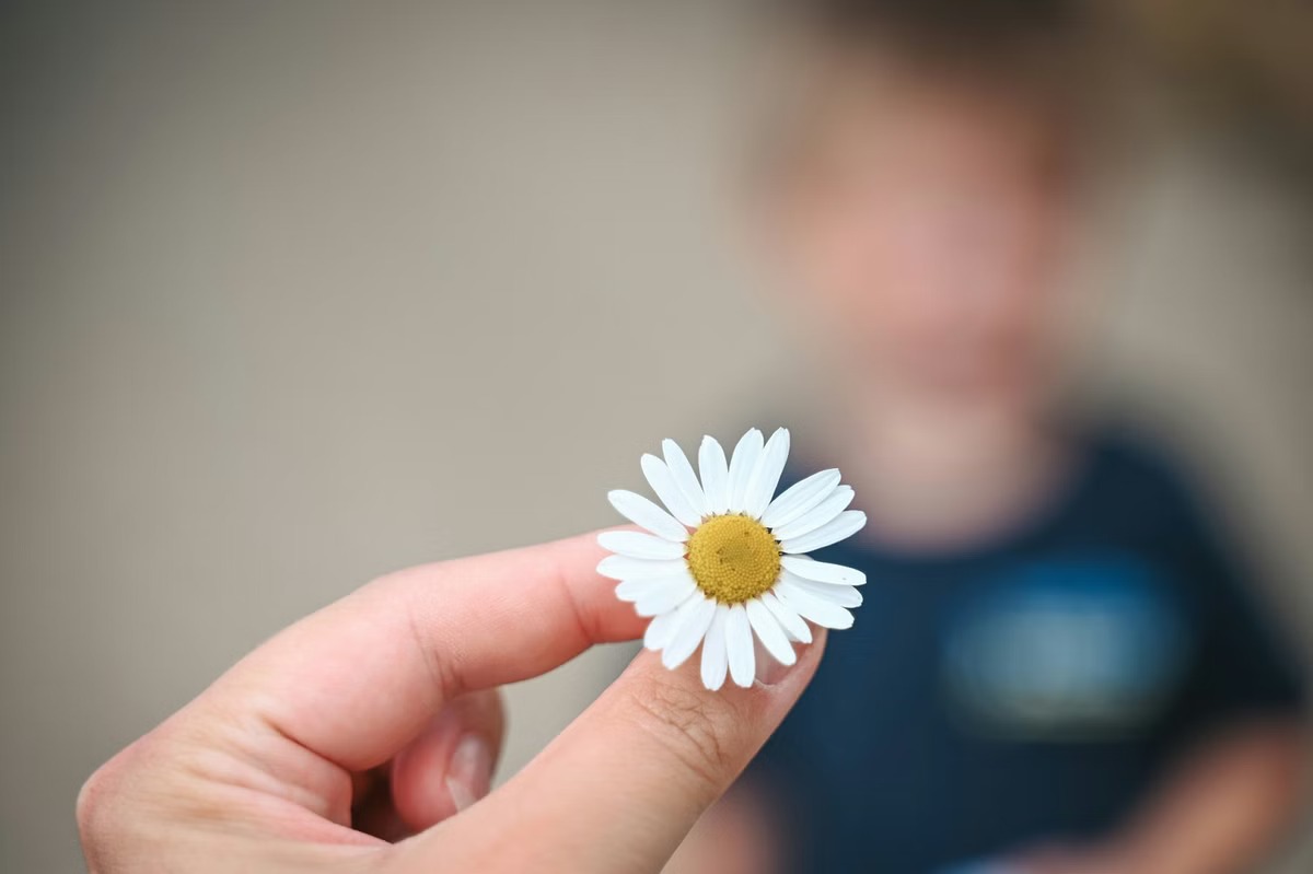 Flower Photography Tips For Beginners | Anıl Uzun