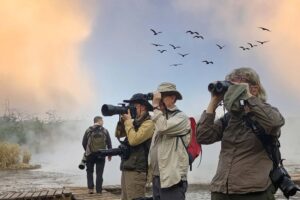 Bird photography