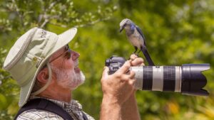 Kuş fotoğrafçılığı
