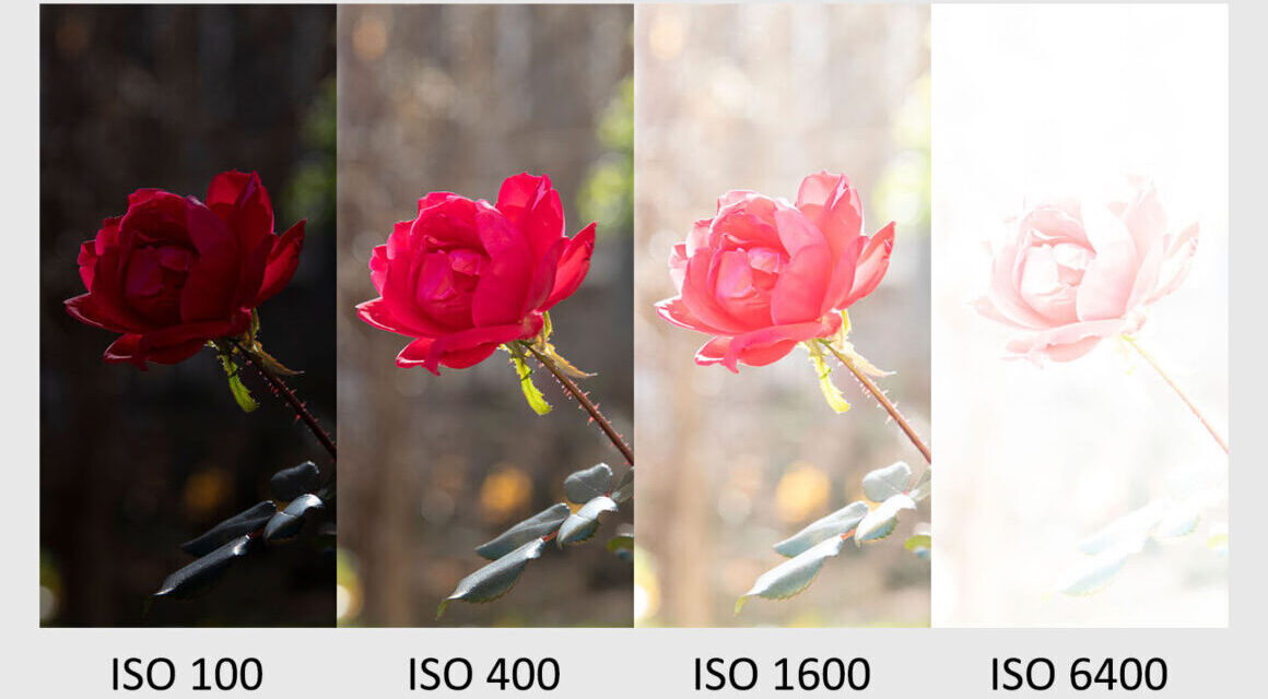 Fotoğrafçılıkta iso nedir