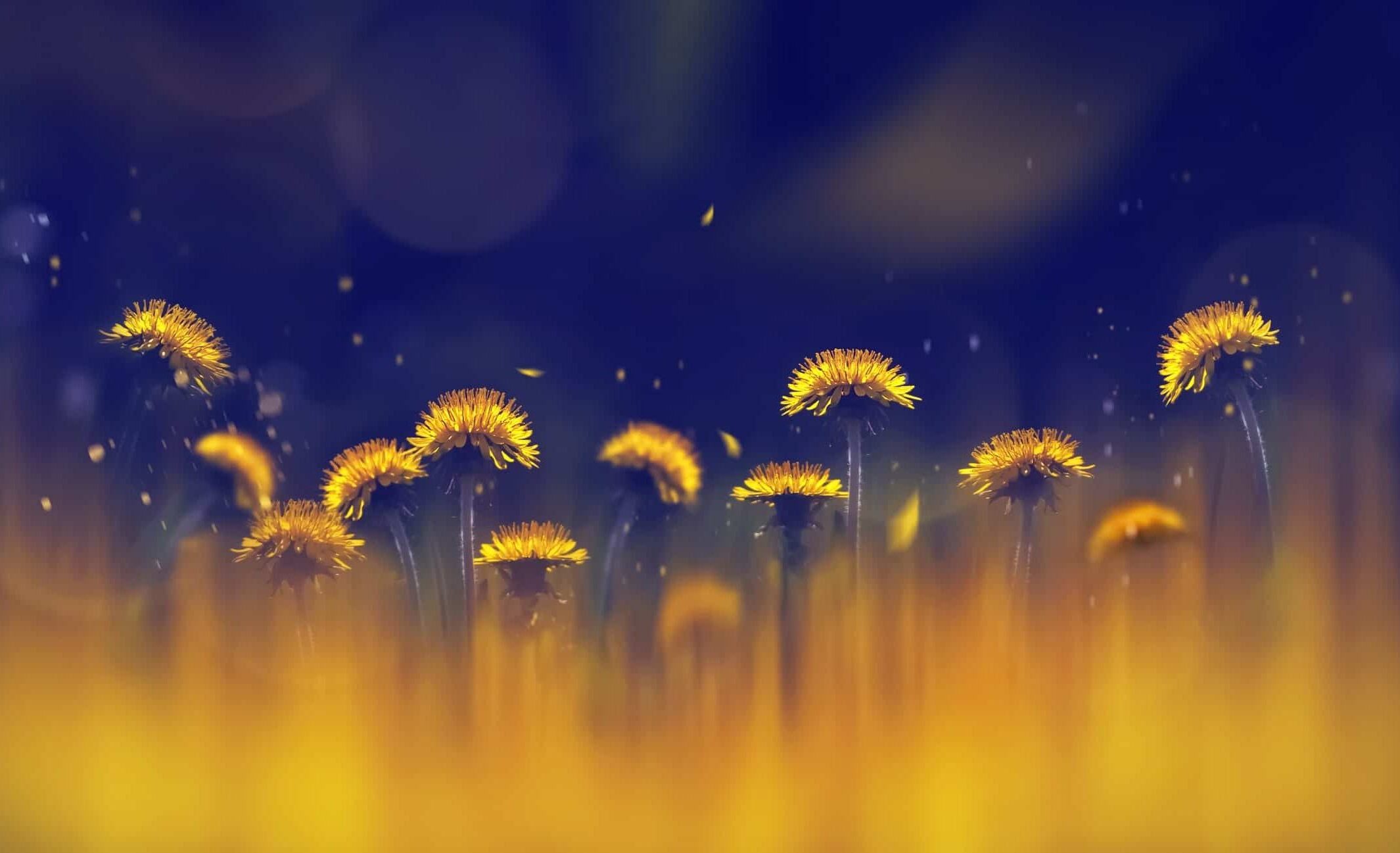 Natural and artificial light color composition