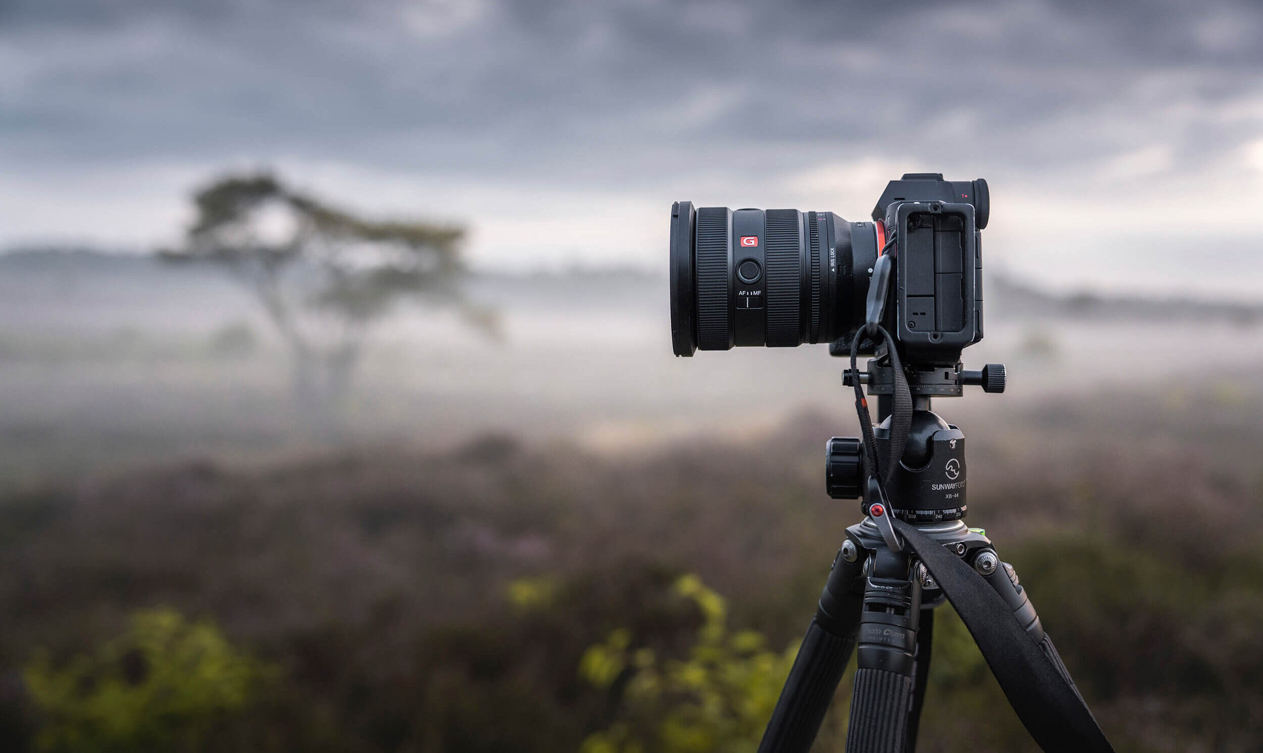 Distortion and edge sharpness in photos