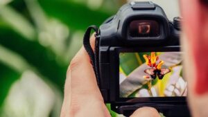 Fotoğrafçılıkta güneş ışığı