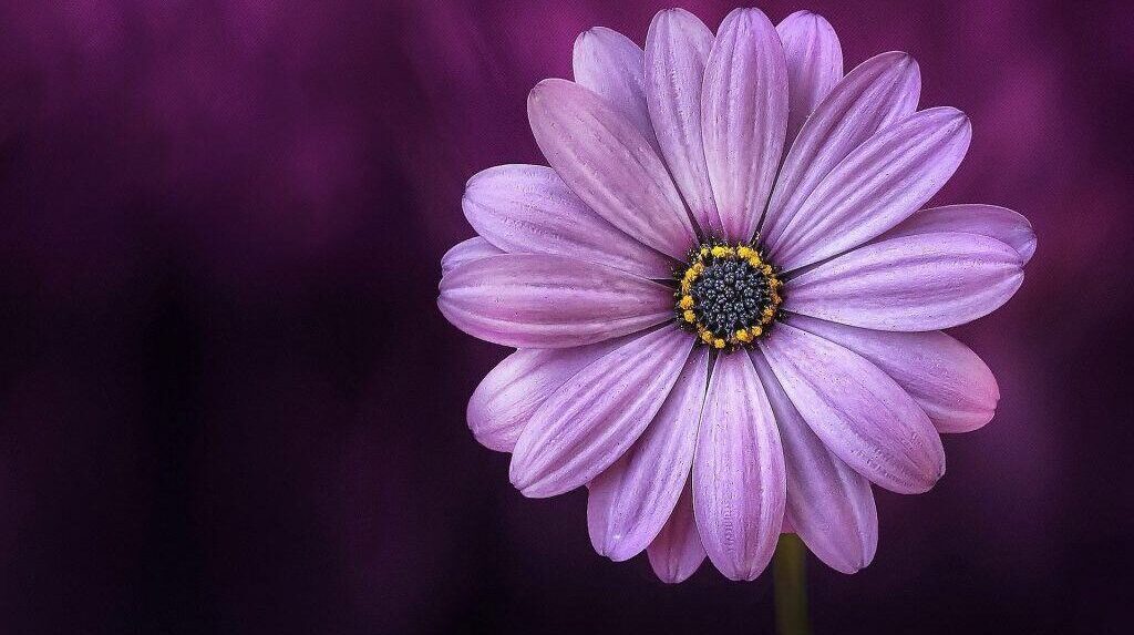 Color palette selection in photography workflow